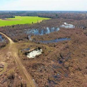 Photo of SOLD!!  172 Acres of Hunting Land For Sale in Craven County NC!