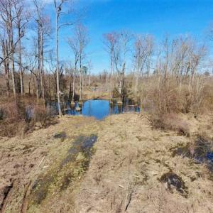 Photo of SOLD!!  172 Acres of Hunting Land For Sale in Craven County NC!