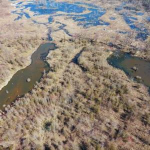Photo of SOLD!!  172 Acres of Hunting Land For Sale in Craven County NC!