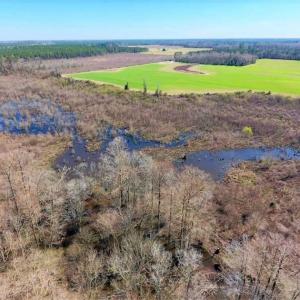 Photo of SOLD!!  172 Acres of Hunting Land For Sale in Craven County NC!