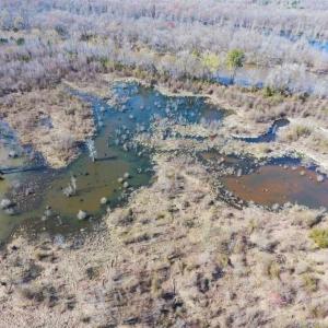 Photo of SOLD!!  172 Acres of Hunting Land For Sale in Craven County NC!