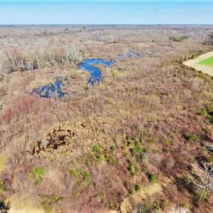 Photo of SOLD!!  172 Acres of Hunting Land For Sale in Craven County NC!