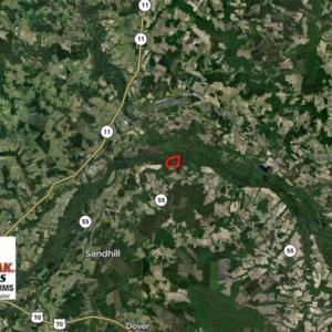 Photo of SOLD!!  172 Acres of Hunting Land For Sale in Craven County NC!