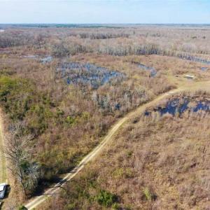 Photo of SOLD!!  172 Acres of Hunting Land For Sale in Craven County NC!