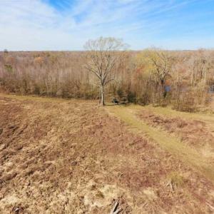 Photo of SOLD!!  172 Acres of Hunting Land For Sale in Craven County NC!