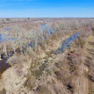 Photo of SOLD!!  172 Acres of Hunting Land For Sale in Craven County NC!