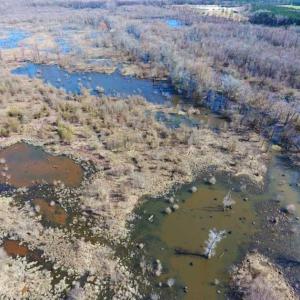 Photo of SOLD!!  172 Acres of Hunting Land For Sale in Craven County NC!