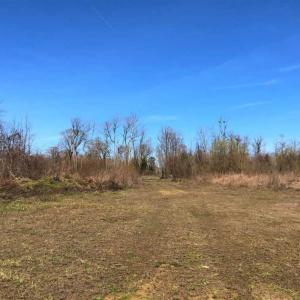Photo of SOLD!!  172 Acres of Hunting Land For Sale in Craven County NC!