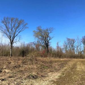 Photo of SOLD!!  172 Acres of Hunting Land For Sale in Craven County NC!