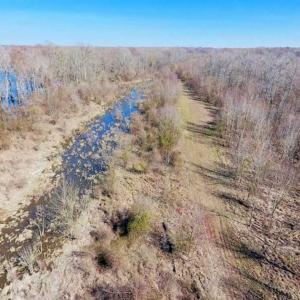 Photo of SOLD!!  172 Acres of Hunting Land For Sale in Craven County NC!
