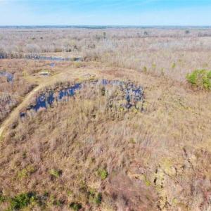 Photo of SOLD!!  172 Acres of Hunting Land For Sale in Craven County NC!