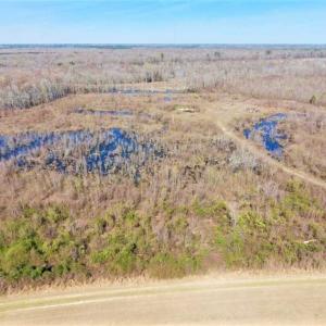 Photo of SOLD!!  172 Acres of Hunting Land For Sale in Craven County NC!
