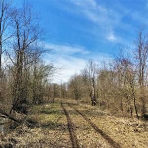Photo of SOLD!!  172 Acres of Hunting Land For Sale in Craven County NC!