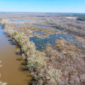 Photo of SOLD!!  172 Acres of Hunting Land For Sale in Craven County NC!