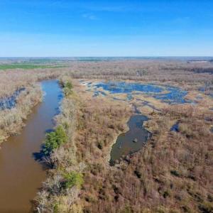 Photo of SOLD!!  172 Acres of Hunting Land For Sale in Craven County NC!