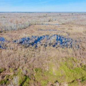 Photo of SOLD!!  172 Acres of Hunting Land For Sale in Craven County NC!
