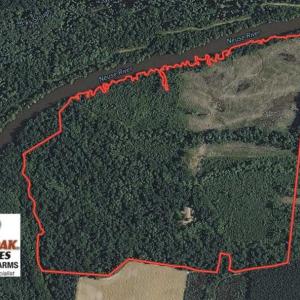 Photo of SOLD!!  172 Acres of Hunting Land For Sale in Craven County NC!