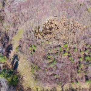 Photo of SOLD!!  172 Acres of Hunting Land For Sale in Craven County NC!
