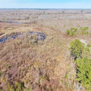 Photo of SOLD!!  172 Acres of Hunting Land For Sale in Craven County NC!