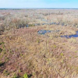 Photo of SOLD!!  172 Acres of Hunting Land For Sale in Craven County NC!