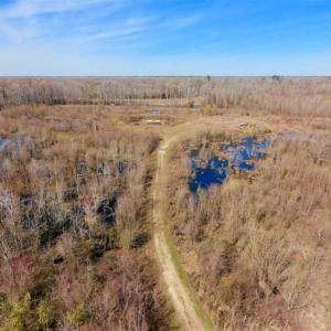 Photo of SOLD!!  172 Acres of Hunting Land For Sale in Craven County NC!