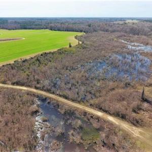 Photo of SOLD!!  172 Acres of Hunting Land For Sale in Craven County NC!