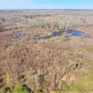 Photo of SOLD!!  172 Acres of Hunting Land For Sale in Craven County NC!