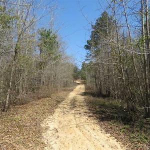 Photo of UNDER CONTRACT!!  35 Acres of Hunting Land with Home Site in Scotland County NC!