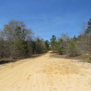 Photo of UNDER CONTRACT!!  35 Acres of Hunting Land with Home Site in Scotland County NC!