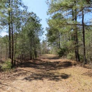 Photo of UNDER CONTRACT!!  35 Acres of Hunting Land with Home Site in Scotland County NC!