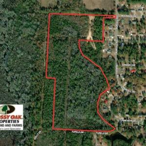 Photo of UNDER CONTRACT!!  35 Acres of Hunting Land with Home Site in Scotland County NC!