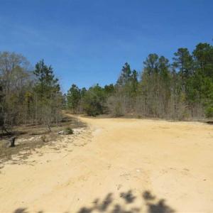 Photo of UNDER CONTRACT!!  35 Acres of Hunting Land with Home Site in Scotland County NC!