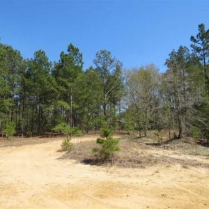 Photo of UNDER CONTRACT!!  35 Acres of Hunting Land with Home Site in Scotland County NC!