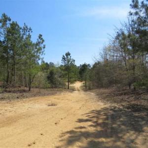 Photo of UNDER CONTRACT!!  35 Acres of Hunting Land with Home Site in Scotland County NC!
