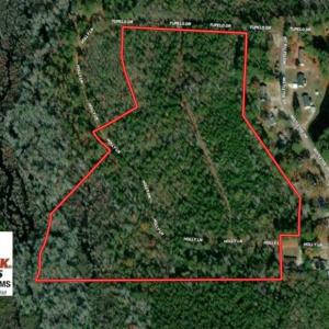 Photo of SOLD!!  25 Acres of Hunting Land For Sale in Scotland County NC!