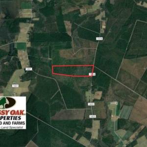 Photo of 92 Acres of Hunting Land For Sale in Martin County NC!