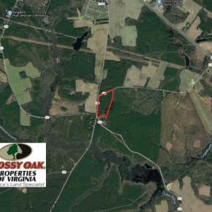 Photo of SOLD!!  20 Acres of Hunting and Timber Land For Sale in Sussex County VA!