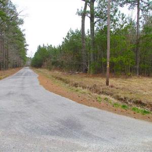Photo of SOLD!!  20 Acres of Hunting and Timber Land For Sale in Sussex County VA!