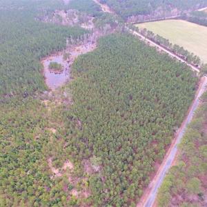 Photo of SOLD!!  20 Acres of Hunting and Timber Land For Sale in Sussex County VA!