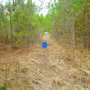 Photo of SOLD!!  20 Acres of Hunting and Timber Land For Sale in Sussex County VA!