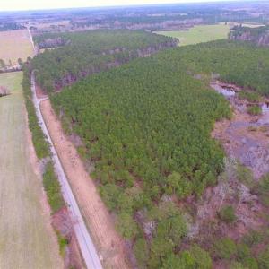 Photo of SOLD!!  20 Acres of Hunting and Timber Land For Sale in Sussex County VA!