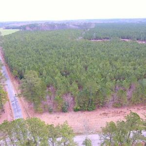 Photo of SOLD!!  20 Acres of Hunting and Timber Land For Sale in Sussex County VA!