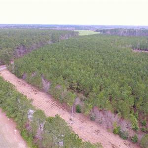 Photo of SOLD!!  20 Acres of Hunting and Timber Land For Sale in Sussex County VA!
