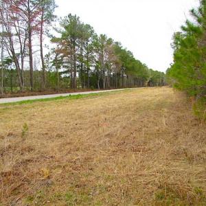 Photo of SOLD!!  20 Acres of Hunting and Timber Land For Sale in Sussex County VA!