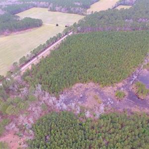 Photo of SOLD!!  20 Acres of Hunting and Timber Land For Sale in Sussex County VA!