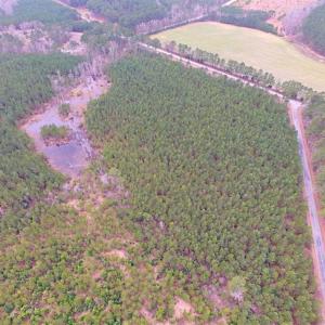 Photo of SOLD!!  20 Acres of Hunting and Timber Land For Sale in Sussex County VA!
