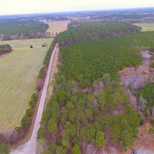 Photo of SOLD!!  20 Acres of Hunting and Timber Land For Sale in Sussex County VA!