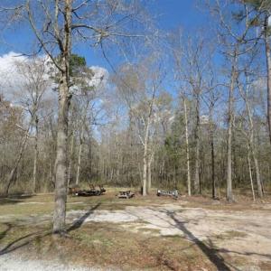 Photo of UNDER CONTRACT!!  21 Acres of Residential and Hunting Land in Pender County NC!