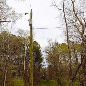 Photo of SOLD!!  12 Acres of Residential and Timber Land for Sale in Wake County NC!