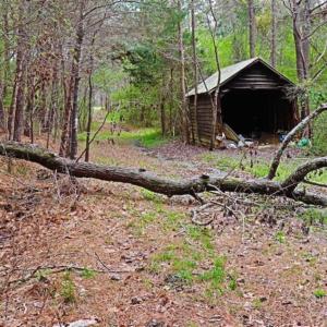 Photo of SOLD!!  12 Acres of Residential and Timber Land for Sale in Wake County NC!
